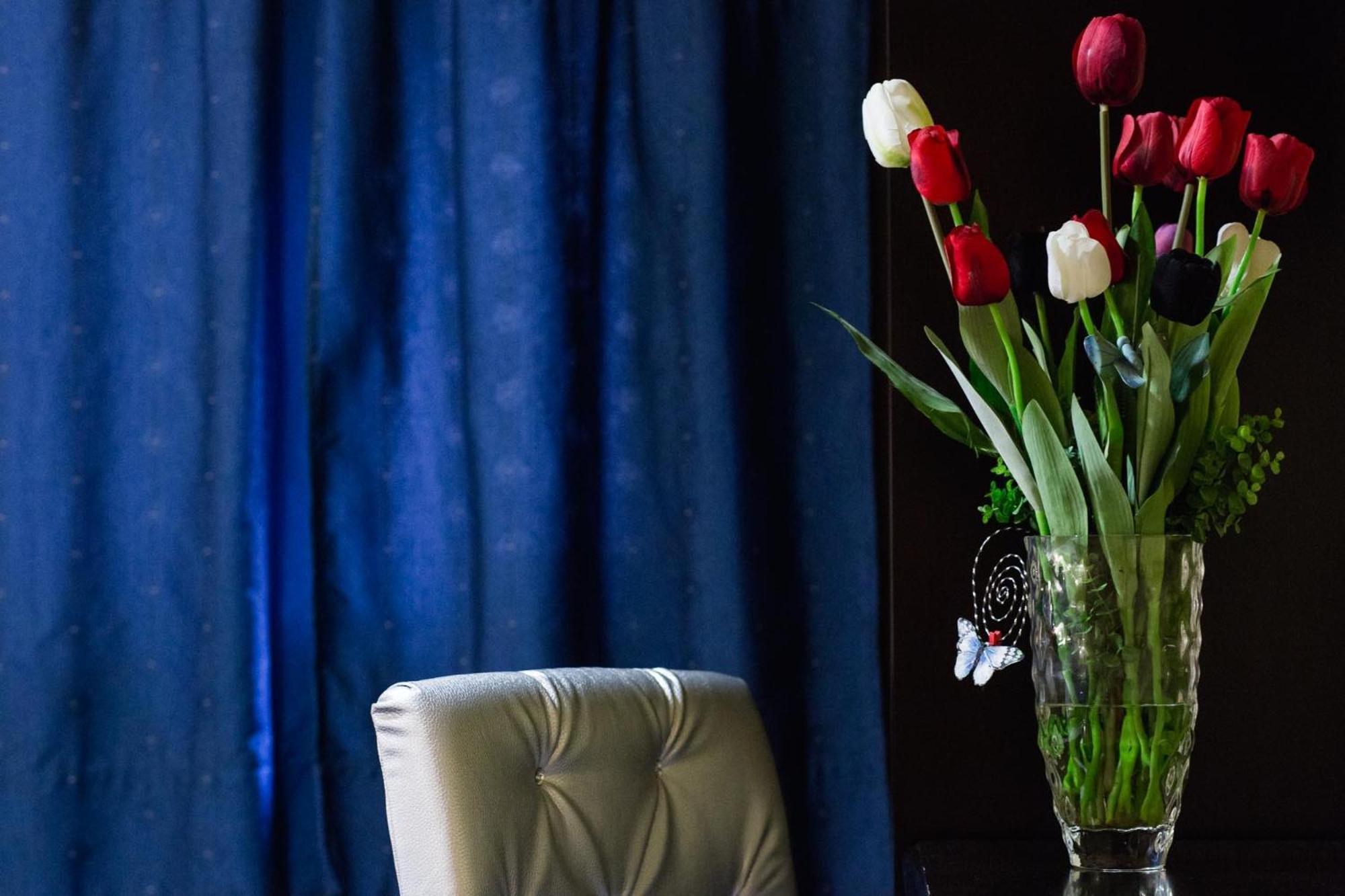 Hotel Tulipa 바라간카 객실 사진